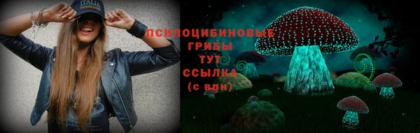 гидра Богданович
