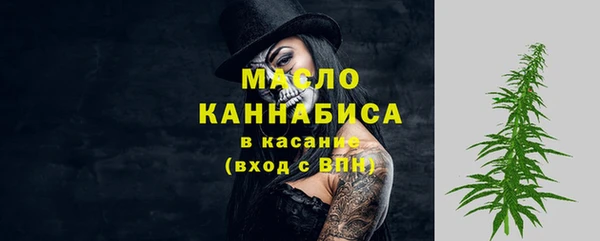 гидра Богданович