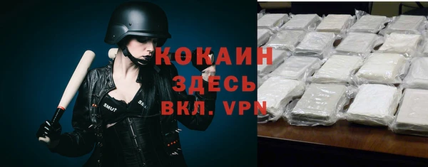 гидра Богданович