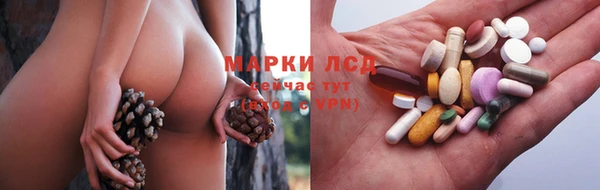 гидра Богданович