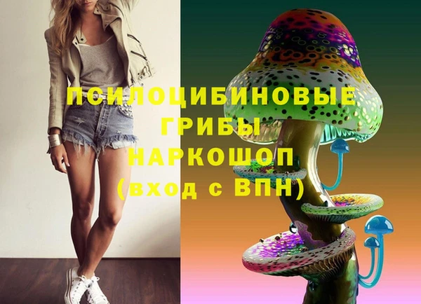 трава Богородицк