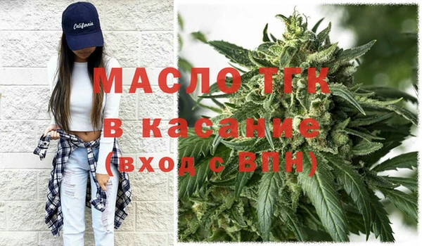 гидра Богданович