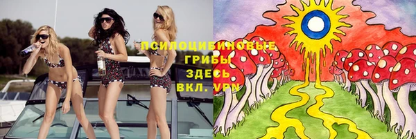 гидропоника Богородск