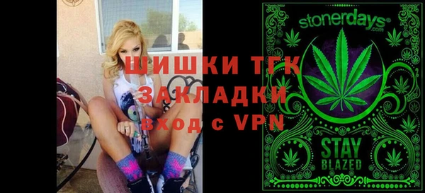 гидра Богданович