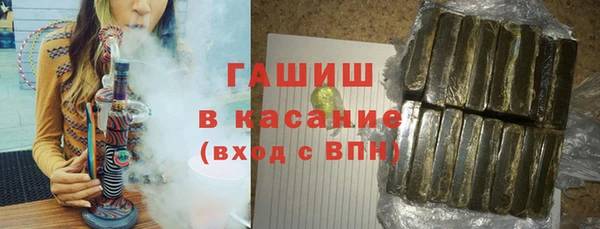 гидра Богданович