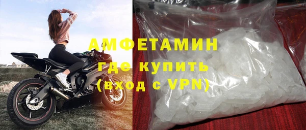 гидра Богданович