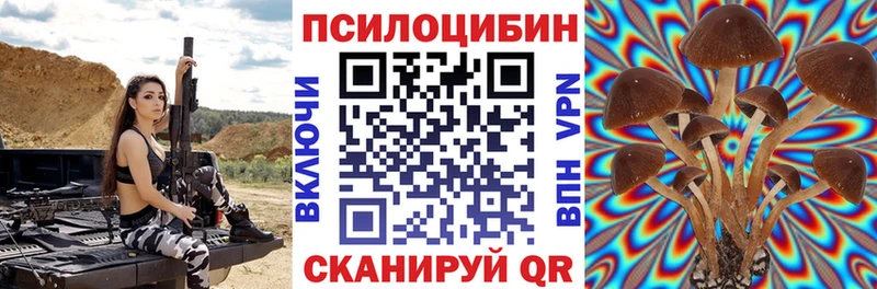купить  сайты  Няндома  Псилоцибиновые грибы мухоморы 
