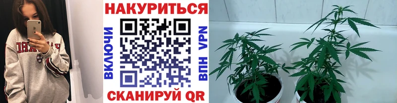 цены наркотик  Няндома  Бошки Шишки марихуана 